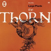 Cover artwork for The Thorn