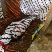 X-̴̧͐͌͂͋̏͊̈́͗̓͠ZAGANAAL +̵̗͇̏0̴͚͙͒͛ .2 -- zaga.mendje