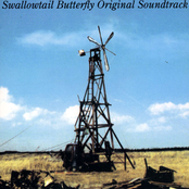 Swallowtail Butterfly