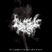 Crypticorifislit by Senthil