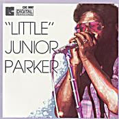 In The Heat Of The Night by Junior Parker