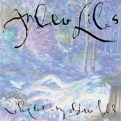 Where The Long Shadows Fall