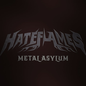 Metal Asylum