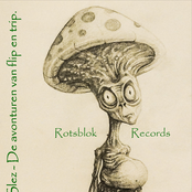 De Avonturen Van Flip En Trip