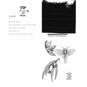 drifting in the moonlight. it became even louder than before