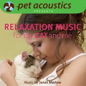 Relaxation Music for My Cat and Me