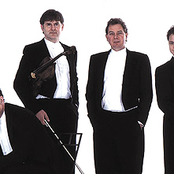 medici string quartet