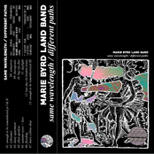 Same Wavelength / Different Paths