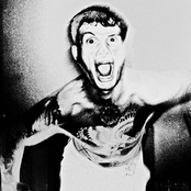 Here Come The Wolves