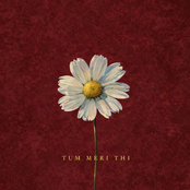 Tum Meri Thi