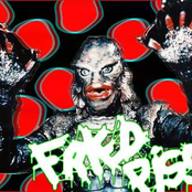 bed full of dog head