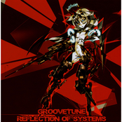 Reflection of Systems