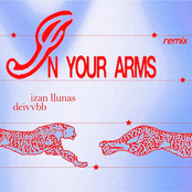 In Your Arms