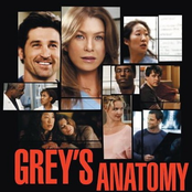 Grey's Anatomy Ost