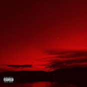 Red Wine and White Lies