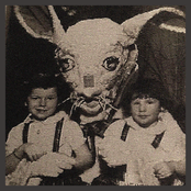 For Striped Eggs (Easter special '24)