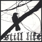 The Straydog Lullaby by Still Life