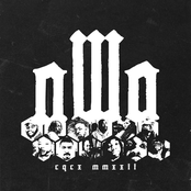 Nwo - Single