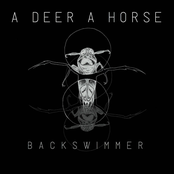 A Deer A Horse: Backswimmer - EP