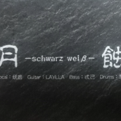 -schwarz weiß-