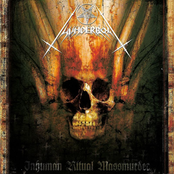 Warmageddon (genocide Cult) by Thunderbolt