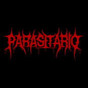 Death Instinct