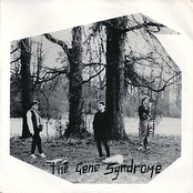 Party In The Trees 7"