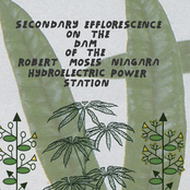 Secondary Efflorescence On The Dam Of The Robert Moses Niagra Hydroelectric Power Station