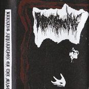 Demo II