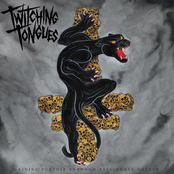 Twitching Tongues: Gaining Purpose Through Passionate Hatred