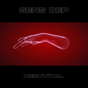 Nebuvital