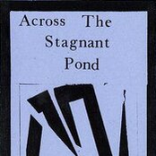 Across the Stagnant Pond