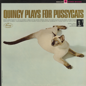 Quincy Plays For Pussycats