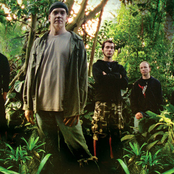 the devin townsend band