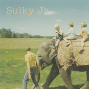 Sulky Jr.