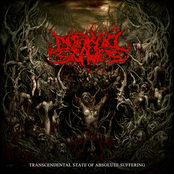 Darkall Slaves: Transcendental State Of Absolute Suffering