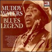 Whiskey Blues by Muddy Waters