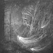Streams Of The Paleghosts