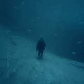 look at the sky tonight