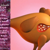 CHAMPION CHIC