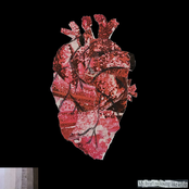 my heart is closing like a fist