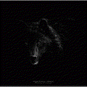 Fidelity Of Ideology