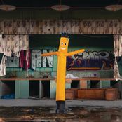 Birdie Country: Welcome to Birdie Country