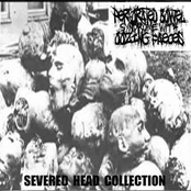 Severed Head Collection