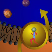 one time and one time only