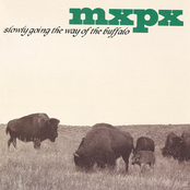 MXPX: Slowly Going the Way of the Buffalo