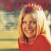 The Way I Want To Touch You by Ray Conniff