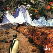 SUBSIST.159D - Elise da Eni