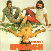 Spinach