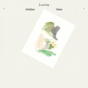 Leaving - Hidden View Artwork